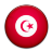 Flag Of Tunisia Icon 48x48 png